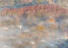 USA-Tennessee Church steeple rises above fog Art Print